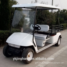 Véhicule utilitaire électrique blanc avec 2 sièges de la Chine (continentale) à vendre